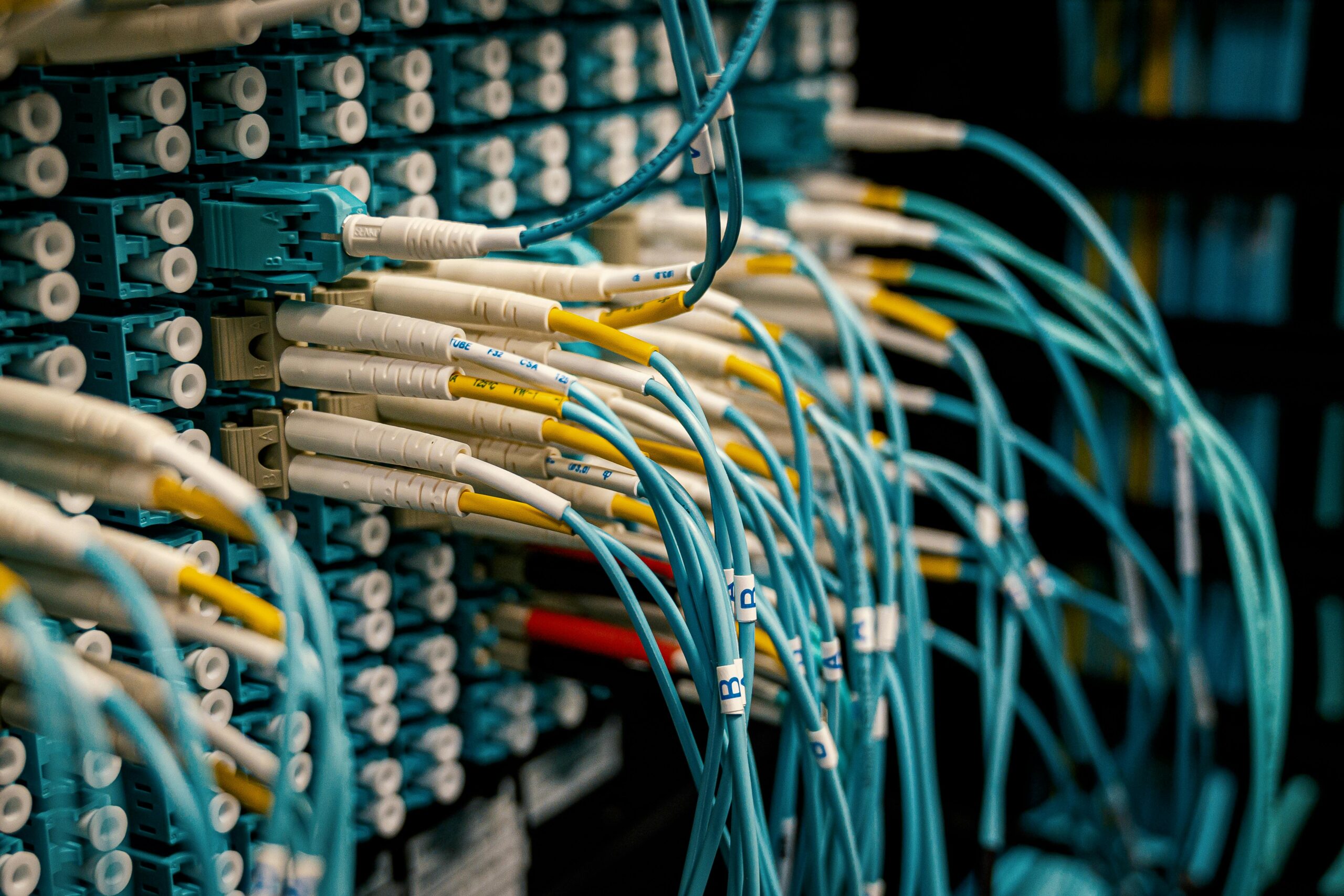 Rows of blue and yellow network cables plugged into switches.